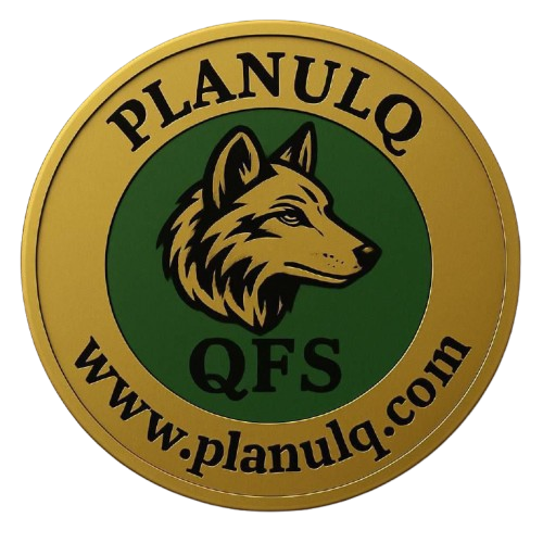 QFS Token